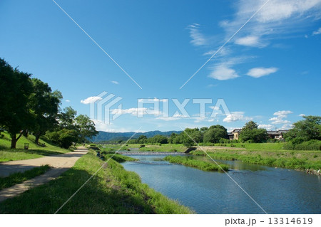 夏の鴨川 13314619