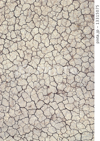 Dry cracked earth 13315075