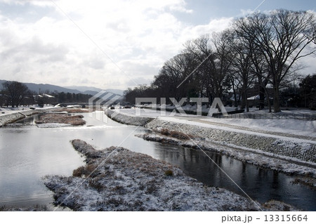 雪の鴨川 13315664