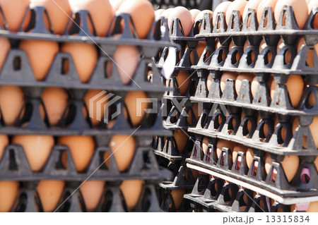 Eggs in the package 13315834