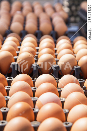 Eggs in the package 13315839