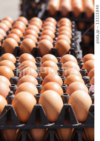 Eggs in the package Eggs in the package 13315840