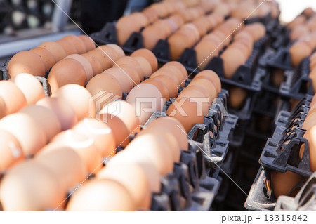 Eggs in the package 13315842