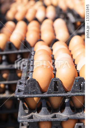 Eggs in the package 13315845