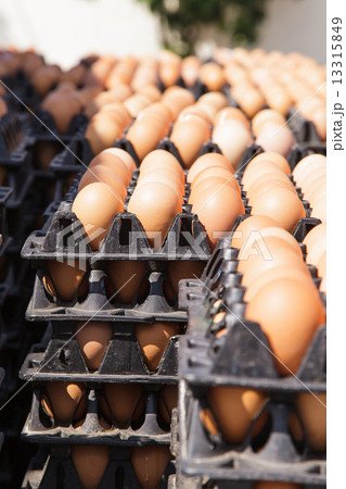 Eggs in the package 13315849