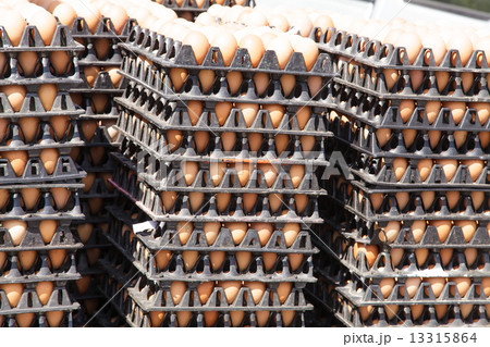 Eggs in the package 13315864