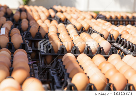 Eggs in the package 13315873