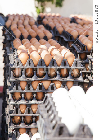 Eggs in the package 13315880