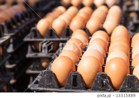 Eggs in the package Eggs in the package 13315889