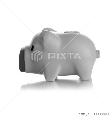 Gray piggy bank Gray piggy bank 13315981