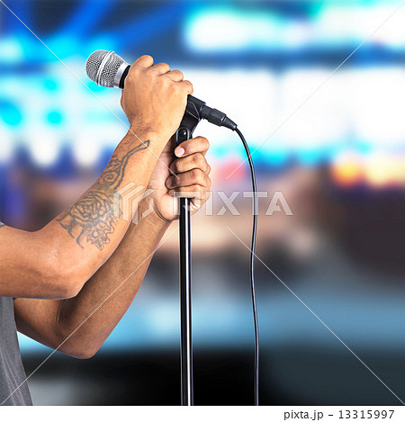 Singer Singer 13315997