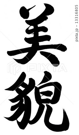 美貌 美貌 13316805