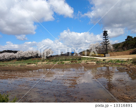 安東河回村 13316891