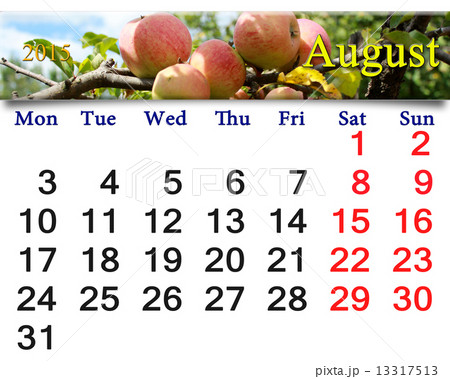 calendar for the August of 2015 year with apples calendar for the August of 2015 year with apples 13317513
