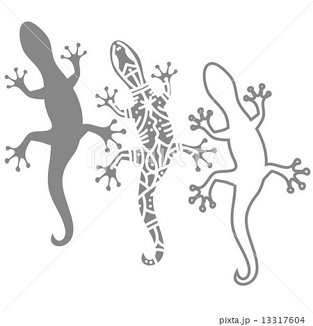 Silhouettes Of Salamanderのイラスト素材