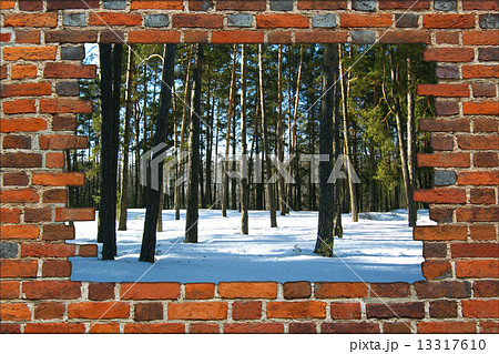 broken brick wall and view to Winter forest 13317610