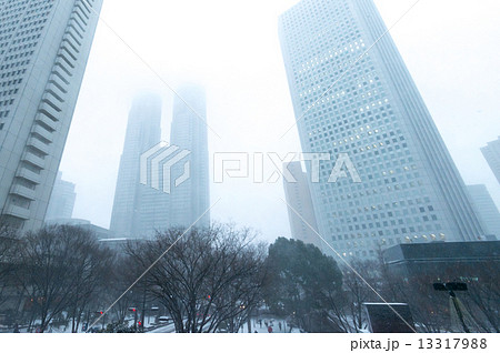 平成26年豪雪 平成26年豪雪 13317988