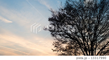 夕方の空 夕方の空 13317990