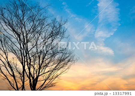 夕方の空 夕方の空 13317991