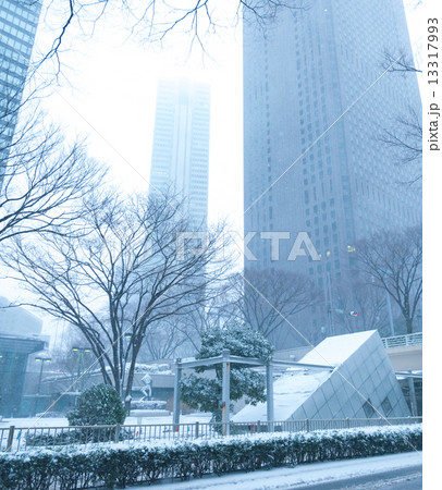 平成26年豪雪 平成26年豪雪 13317993