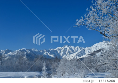 信州冬シーズン観光イメージ 13318060