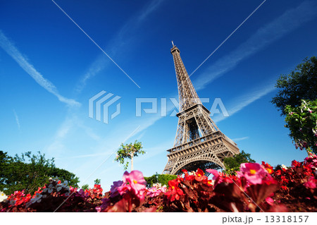 Eiffel Tower, Paris, France Eiffel Tower, Paris, France 13318157