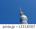 青空とスカイツリー 13318387