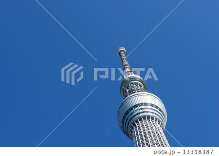 青空とスカイツリー 13318387