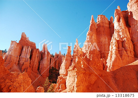 ブライスキャニオン ブライスキャニオン 13318675