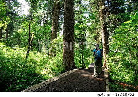 woman tourist hiking in jiuzhaigou national park,china  13318752