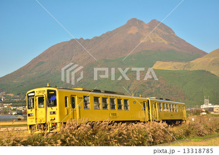 由布岳と黄色い列車 13318785