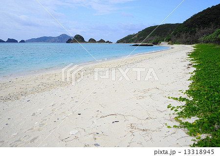12月沖縄ケラマ諸島・座間味島20阿真ビーチ 13318945