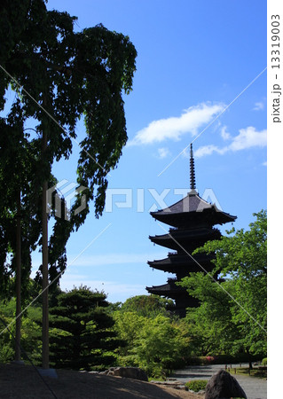 東寺の五重塔 東寺の五重塔 13319003