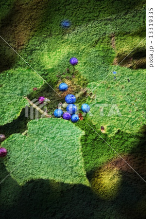 Double exposure of floral objects Double exposure of floral objects 13319335