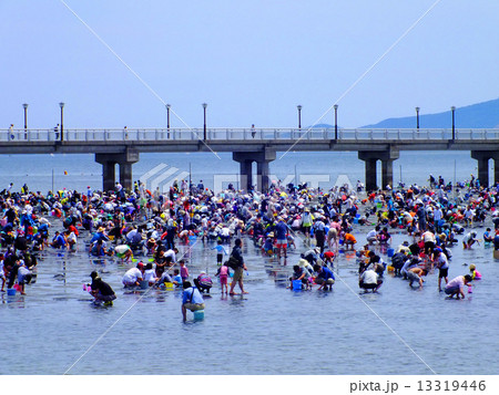 潮干狩り 13319446