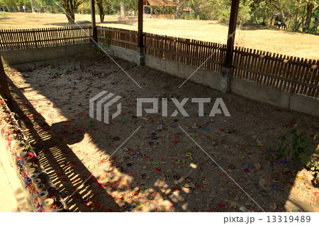 キリングフィールド キリングフィールド 13319489