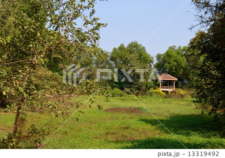 キリングフィールド キリングフィールド 13319492