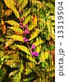 Double exposure of floral objects 13319504