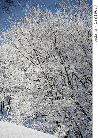 雪山　霧氷 13319627