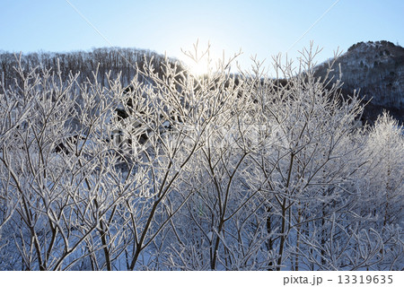 雪山　霧氷 13319635