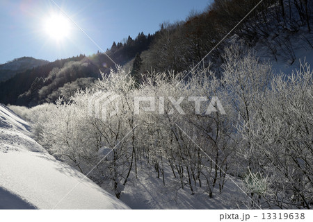 雪山　霧氷 13319638