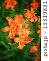 Double exposure of floral objects 13319831