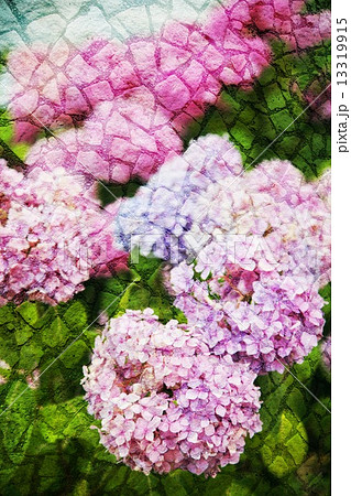 Double exposure of floral objects 13319915