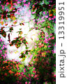 Double exposure of floral objects 13319951