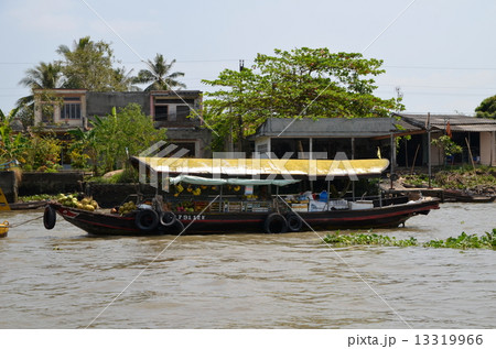 ベトナム メコンデルタ ベトナム メコンデルタ 13319966