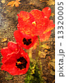 Double exposure of floral objects 13320005