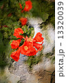 Double exposure of floral objects 13320039