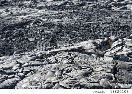 big island lava fields 13320108