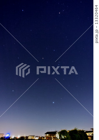明け方の冬の星座たち 明け方の冬の星座たち 13320464