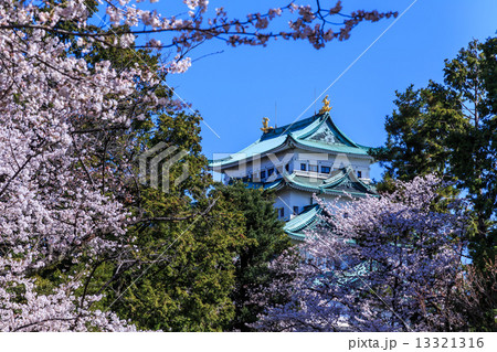 春の名古屋城 春の名古屋城 13321316